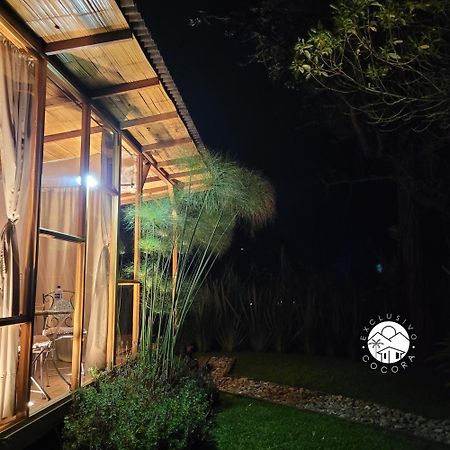 Exclusivo Cocora Con Jacuzzi Salento Quindio Villa Luaran gambar