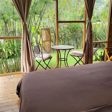 Exclusivo Cocora Con Jacuzzi Salento Quindio Villa Luaran gambar