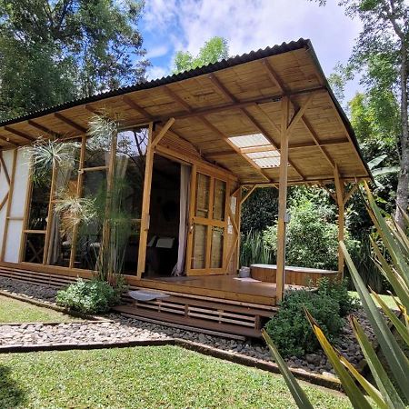 Exclusivo Cocora Con Jacuzzi Salento Quindio Villa Luaran gambar