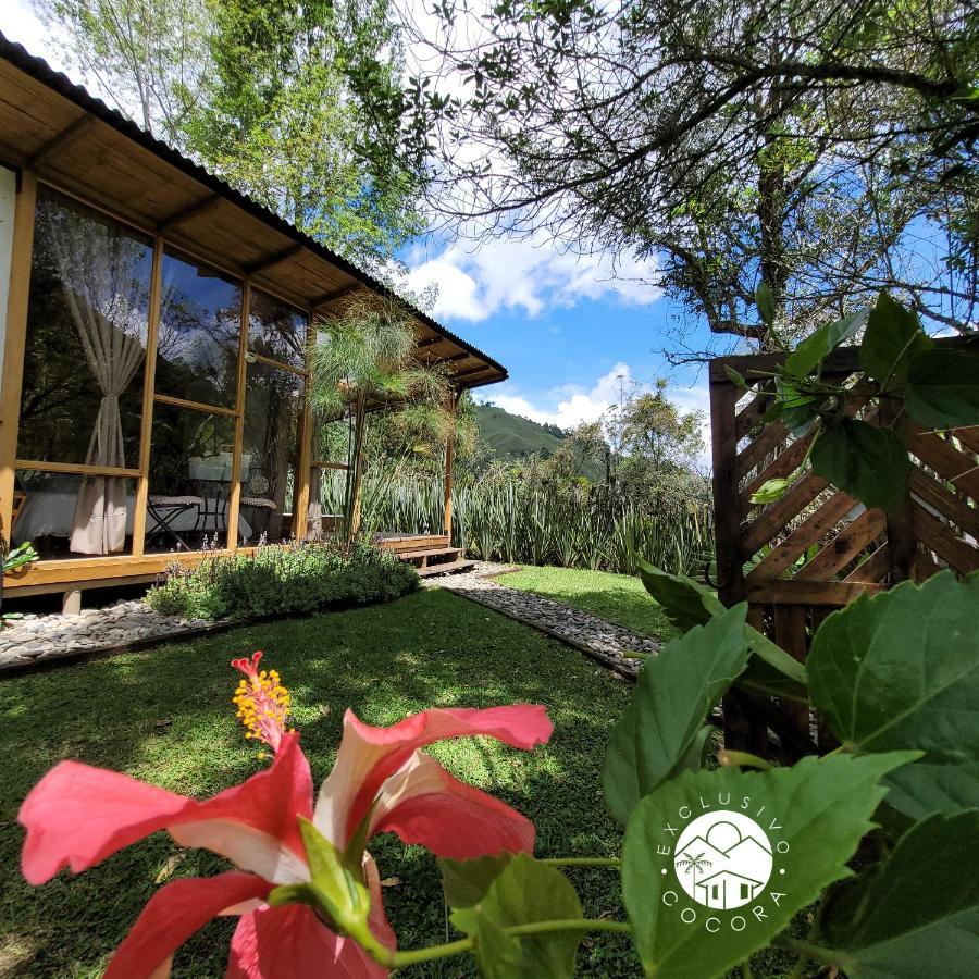 Exclusivo Cocora Con Jacuzzi Salento Quindio Villa Luaran gambar