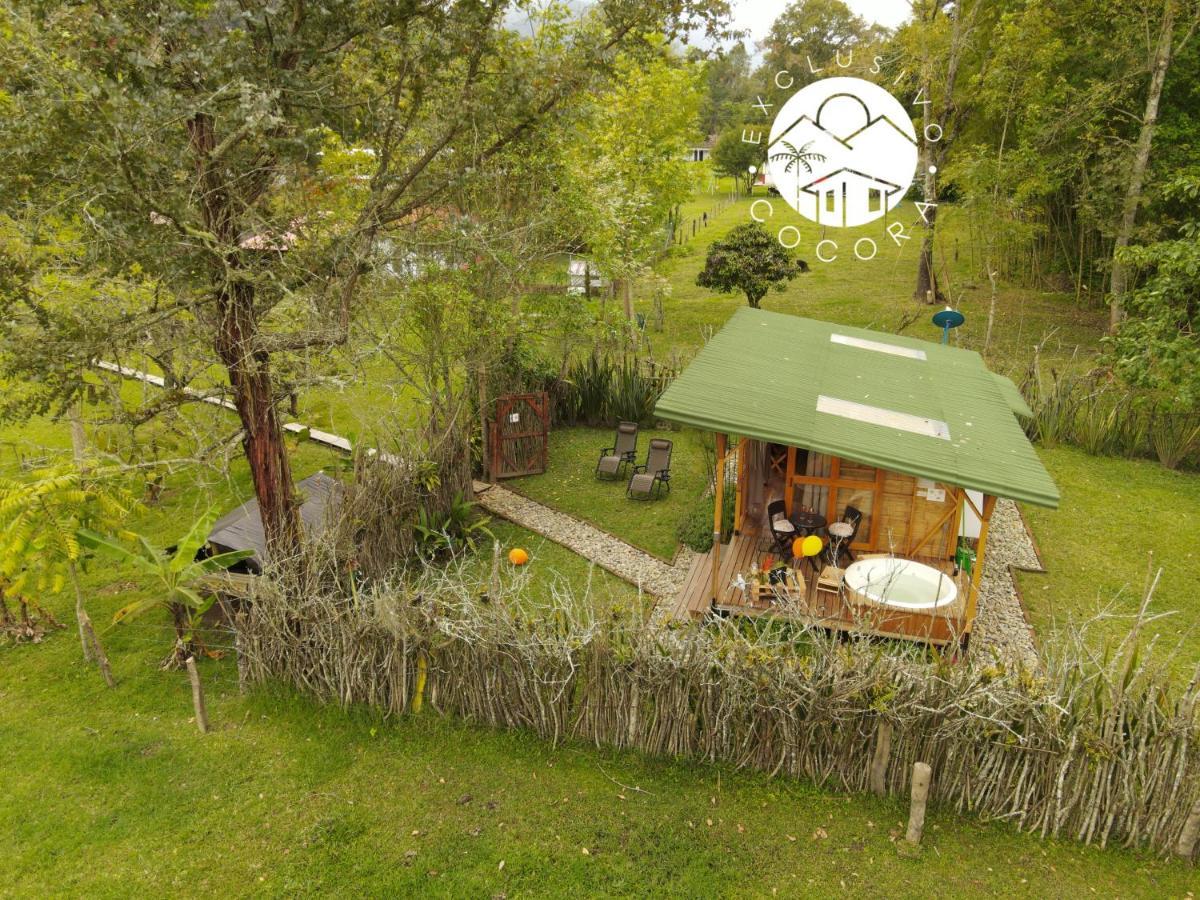 Exclusivo Cocora Con Jacuzzi Salento Quindio Villa Luaran gambar