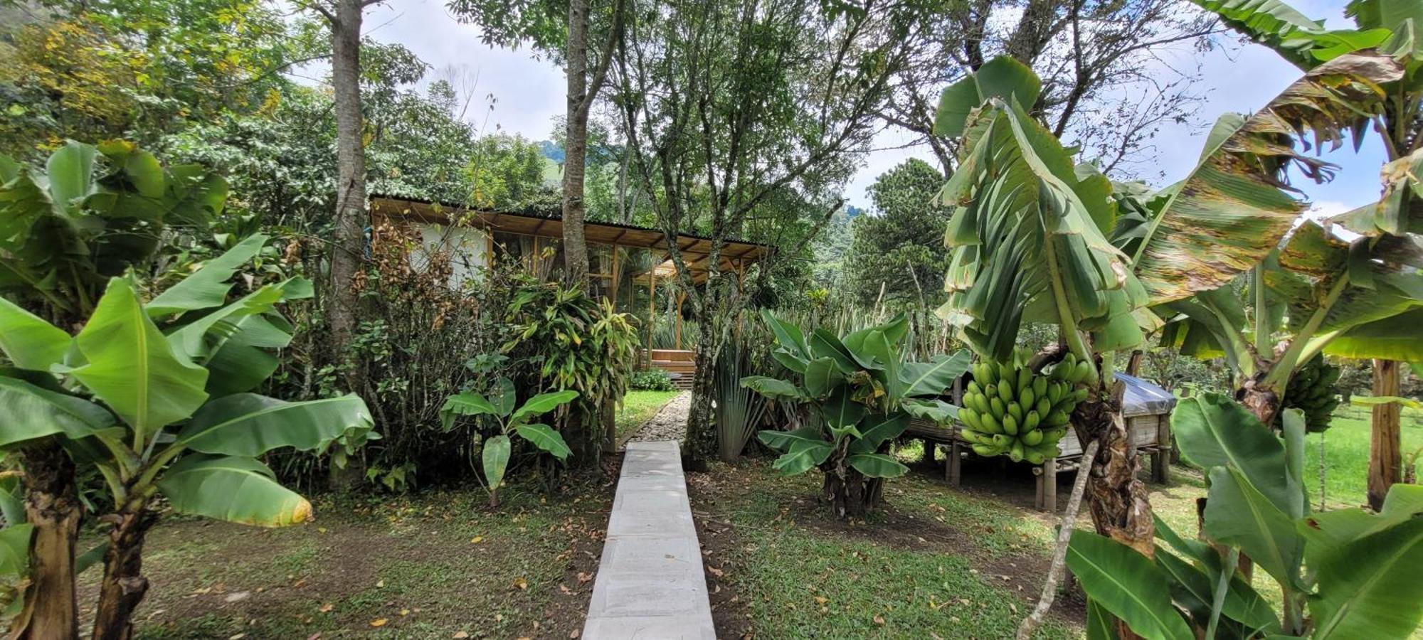 Exclusivo Cocora Con Jacuzzi Salento Quindio Villa Luaran gambar