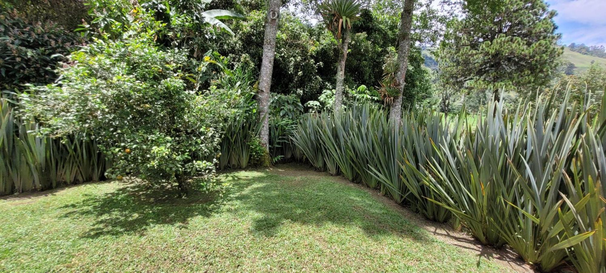 Exclusivo Cocora Con Jacuzzi Salento Quindio Villa Luaran gambar