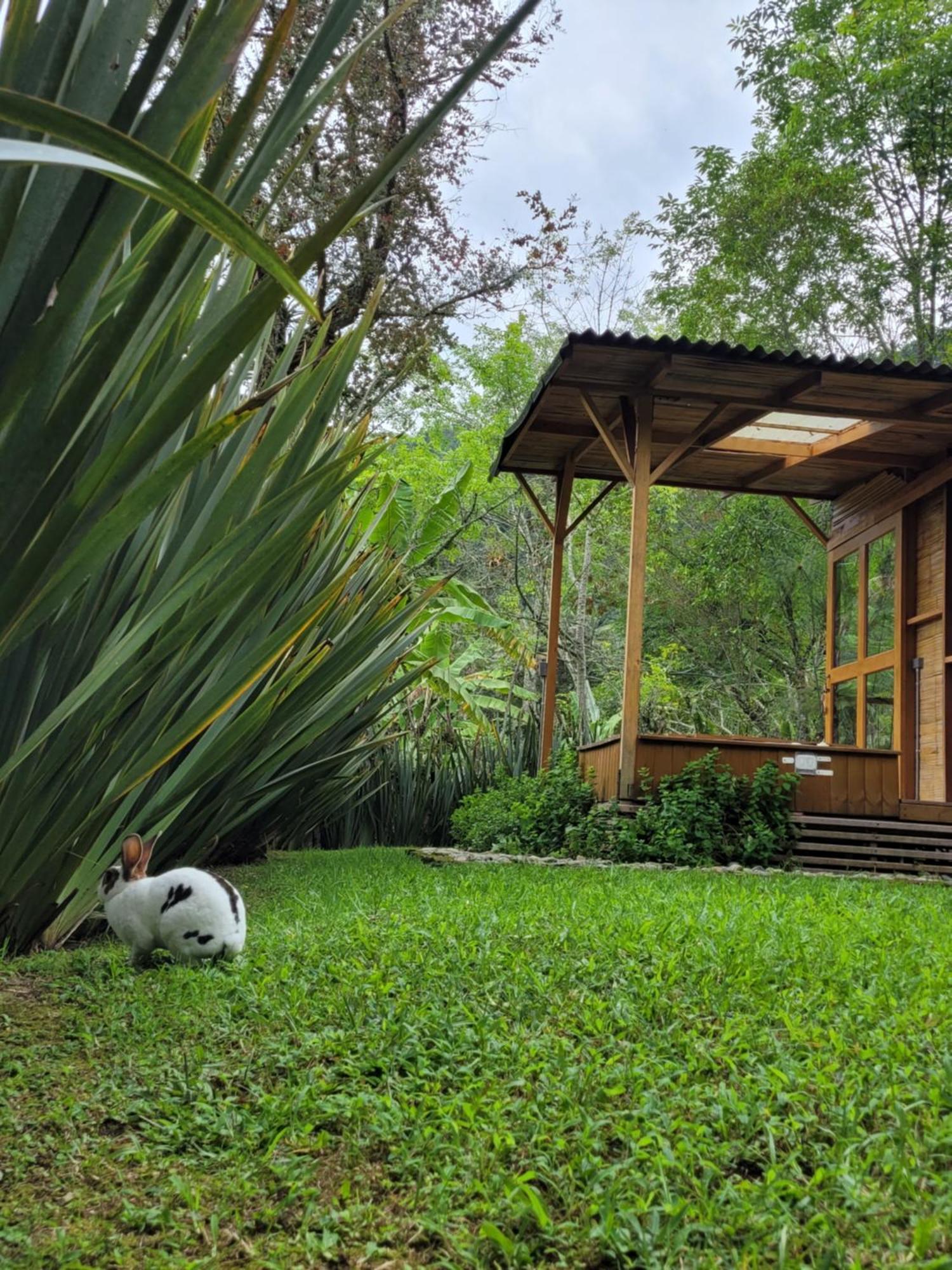 Exclusivo Cocora Con Jacuzzi Salento Quindio Villa Luaran gambar